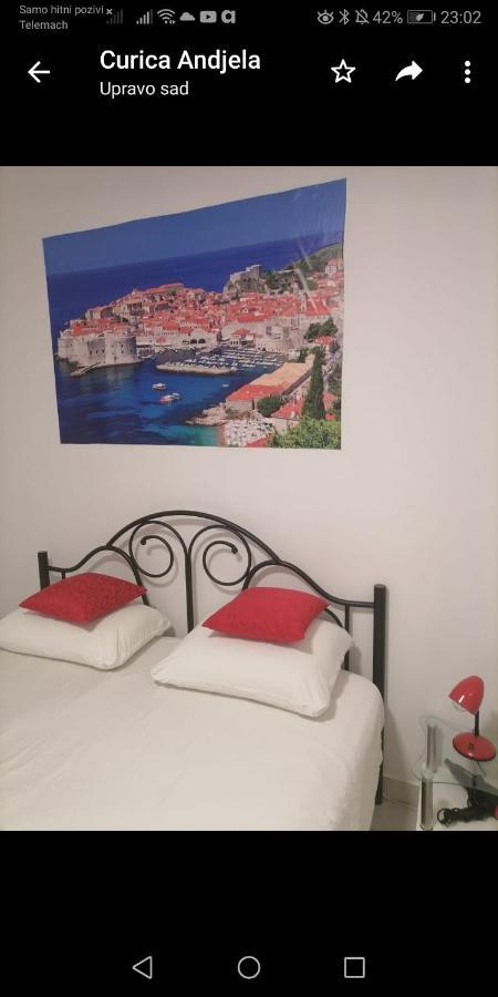 Room Dragica دوبروفينك المظهر الخارجي الصورة